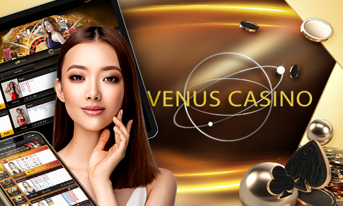 6600 bet 77bet cassino Terminal móvel