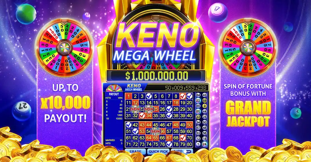 6600 bet mugni cassino livre