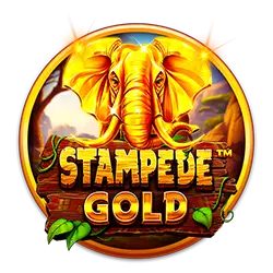 6600 bet apost cassino on-line